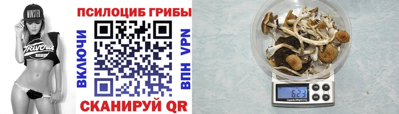 Галлюциногенные грибы Psilocybine cubensis Лермонтов
